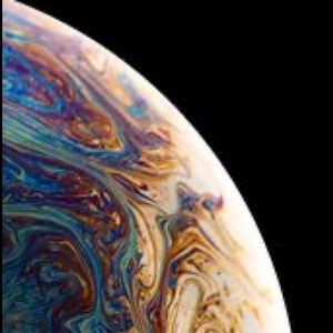 Meet your Posher, Brady